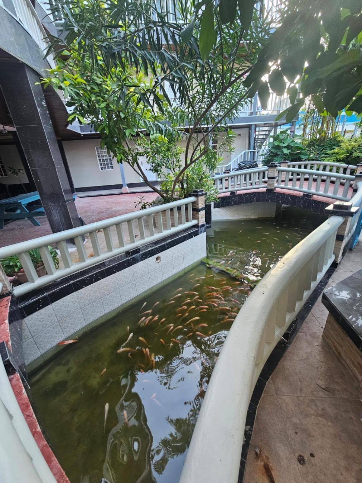 China Town Hotel Caye Caulker Dış mekan fotoğraf